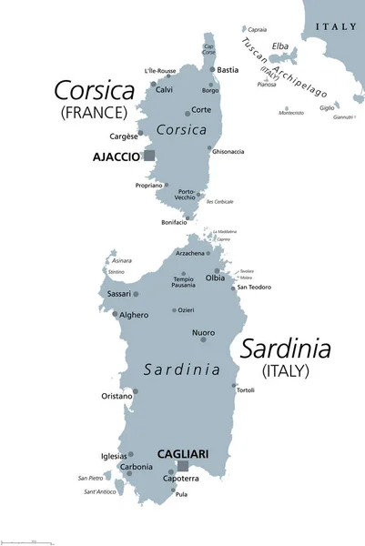 Korsika Och Sardinien Grå Politisk Karta Franska Och Italienska Öar — Stock vektor