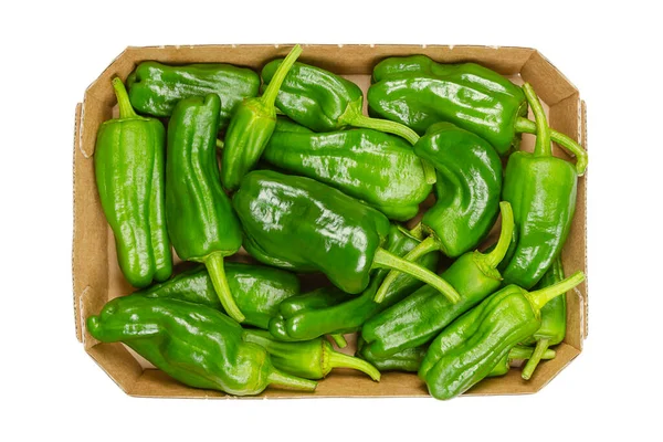 Pimentos Crus Padron Também Chamados Pimentas Herbon Uma Bandeja Papelão — Fotografia de Stock