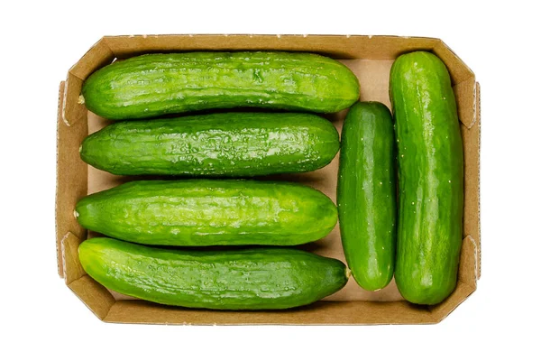 Fresh Snack Cucumbers Cardboard Tray Small Young Whole Cucumber Fruits — ストック写真