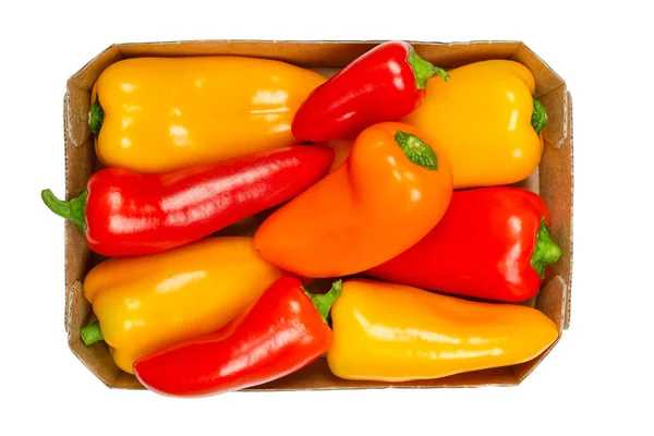 Snacking Mini Sweet Peppers Cardboard Tray Ripe Fresh Bell Peppers — Stock Photo, Image