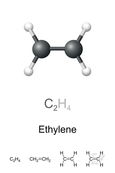 Ethylene Ethene Ball Stick Model Molecular Chemical Formula Simplest Alkene — Stock Vector