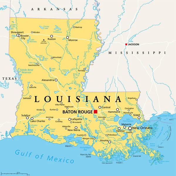 ルイジアナ州 政治地図 首都バトンルージュと大都市圏ニューオーリンズ ピリカン州 バイユー州 クレオール州と呼ばれるアメリカ合衆国の南中部と南中部の州 — ストックベクタ