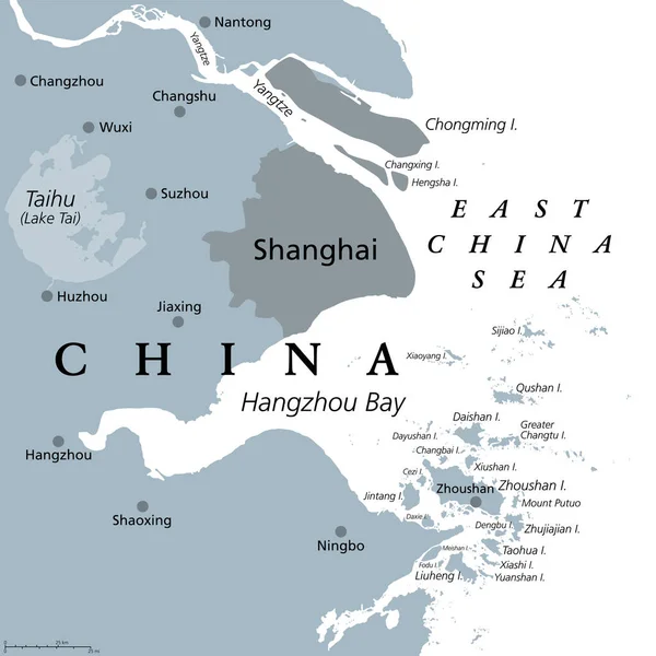上海和长江三角洲 灰色的政治地图 与主要城市 位于长江流域汇入东海 杭州湾和舟山群岛的中国大都市 — 图库矢量图片