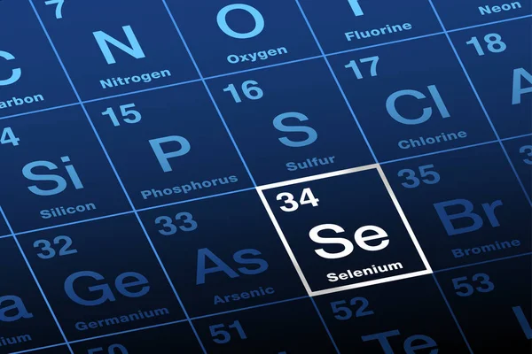 Selenium Pada Tabel Periodik Unsur Unsur Unsur Kimia Nonlogam Dengan - Stok Vektor