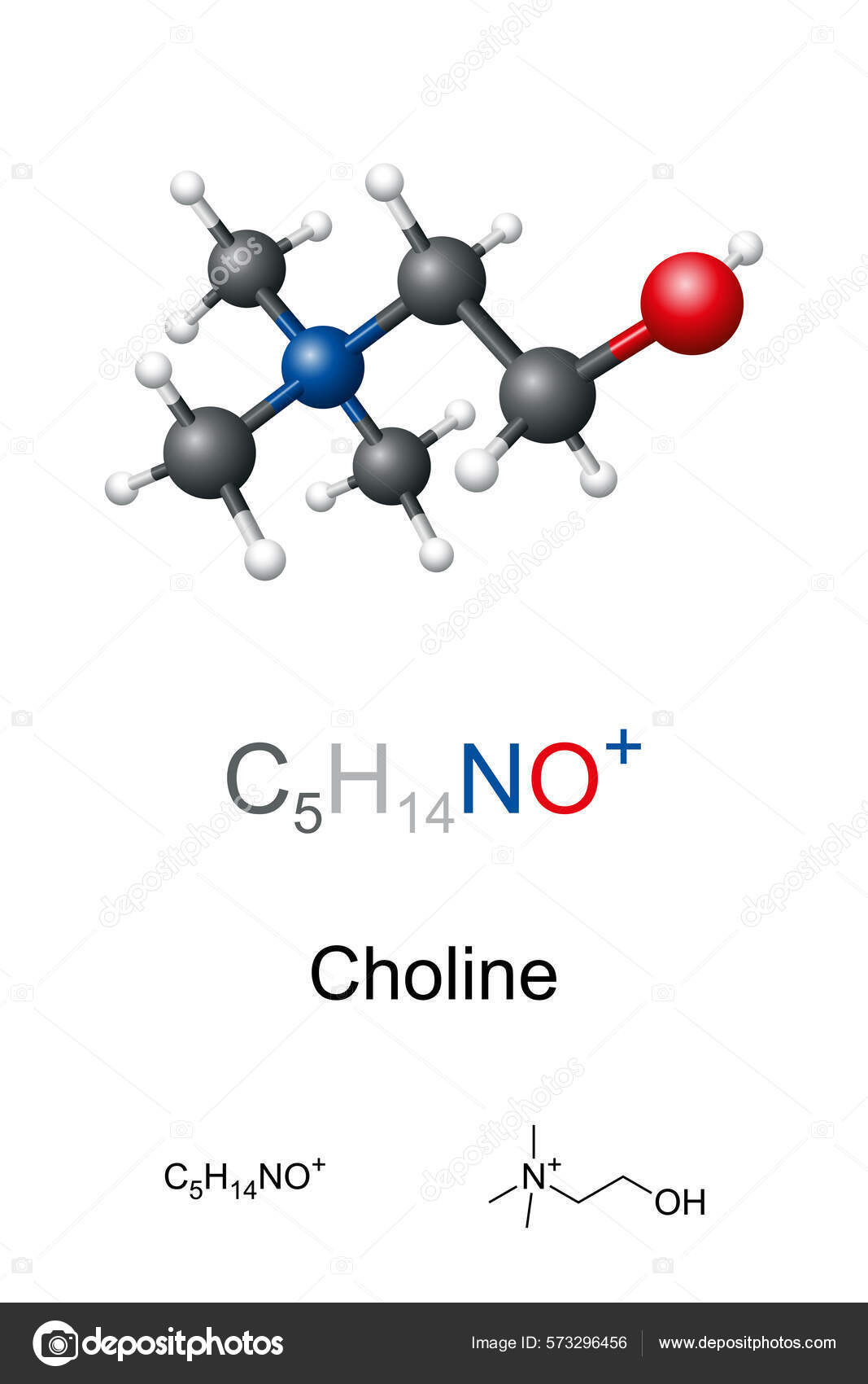 Kolin Kule Pinne Modell Molekylær Kjemisk Formel Organisk Forbindelse  Essensielt stockvektor © Furian #573296456, image size:1067x1700