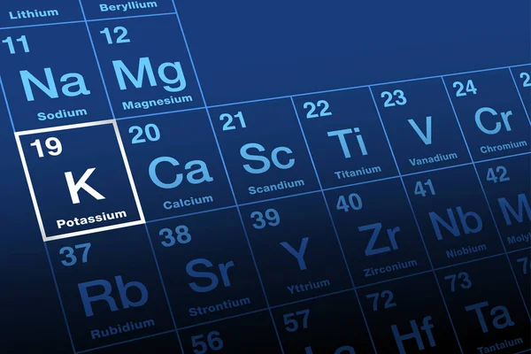 Калій Періодичній Таблиці Елементів Алкалі Метал Символом Неолатинського Калію Атомним — стоковий вектор