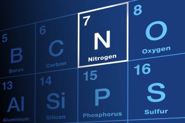 Elementlerin periyodik tablosunda azot. Sembol N ve atom numarası 7 olan kimyasal element. Amino asitlerdeki, DNA 'daki, RNA' daki ve ATP 'deki tüm organizmalarda olan olaylar. N2 gazı atmosferin yüzde 78 'ini oluşturur..