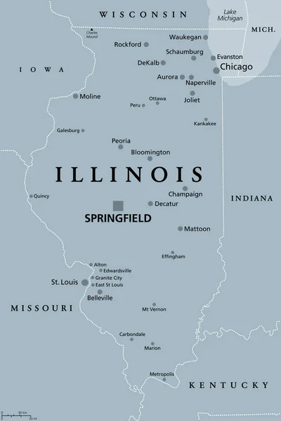Illinois Mapa Político Gris Con Capital Springfield Área Metropolitana Chicago — Vector de stock