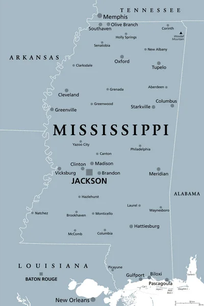 ミシシッピ州 首都ジャクソンと灰色の政治地図 および大規模で重要な都市 アメリカ合衆国南東部の州 通称マグノリア州とホスピタリティ州 — ストックベクタ