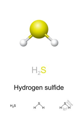 Hydrogen sulfide, ball-and-stick model, molecular and chemical formula. Chemical compound with formula H2S. Trace amounts of the gas in ambient atmosphere has characteristic foul odor of rotten eggs. clipart