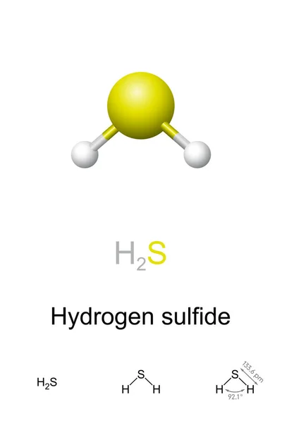 Sulfuro Hidrógeno Modelo Bola Palo Fórmula Molecular Química Compuesto Químico — Vector de stock