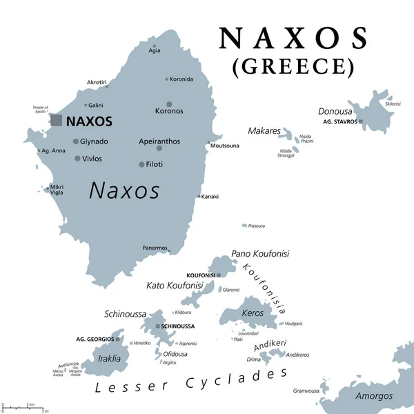 Naxos Lesser Cyclades Грецькі Острови Сіра Політична Карта Група Островів — стоковий вектор