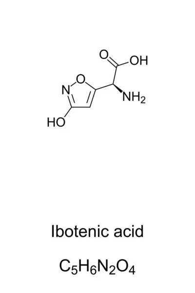 Kyselina Ibotenová Moucha Agarický Jed Chemický Vzorec Strukturu Nazývá Ibotenát — Stockový vektor