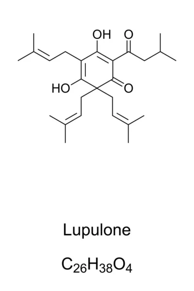 Lupulon Chemický Vzorec Struktura Kyselina Organická Nalezená Jako Složka Chmele — Stockový vektor