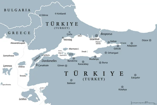 Bósforo Dardanelos Mapa Político Gris Estrecho Turquía Vías Fluviales Estrechas — Archivo Imágenes Vectoriales