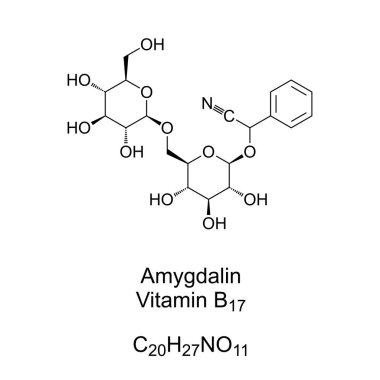 Amygdalin, yanlış adlandırılan B17 vitamini ile, kimyasal formül ve yapı. Kayısıların, acı bademlerin, elmaların, şeftalilerin, kirazların ve eriklerin çekirdeklerinde doğal olarak oluşan kimyasal bileşik..