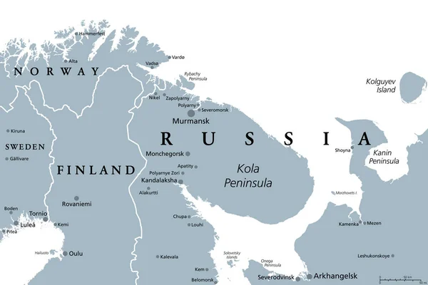 Óblast Murmansk Península Kola Mapa Político Gris Sujeto Federal Rusia — Archivo Imágenes Vectoriales