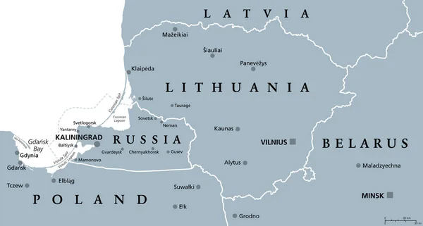 Lithuania Kaliningrad Gray Political Map Capitals Largest Cities Republic Lithuania — Stock vektor