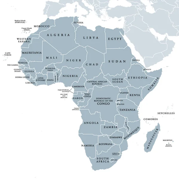 África Países Individuales Mapa Político Gris Continente Más Grande Incluyendo — Archivo Imágenes Vectoriales