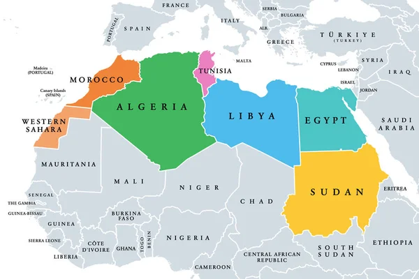 Nordafrika Subregion Politisk Karta Med Enskilda Länder Och Internationella Gränser — Stock vektor