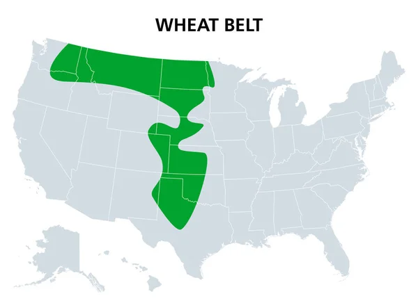 Wheat Belt United States Political Map Part North American Great — Vector de stock