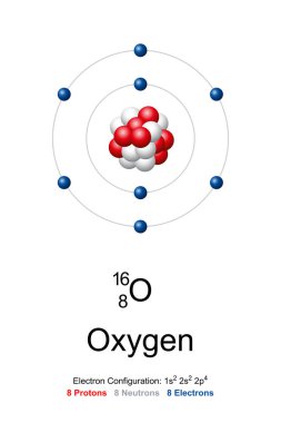 Oksijen, atom modeli. Sembol O ve atom numarası 8 olan kimyasal element. Oksijen-16 Bohr modeli, 8 proton ve 8 nötron atomik kabukta 8 elektron ile atom çekirdeği.