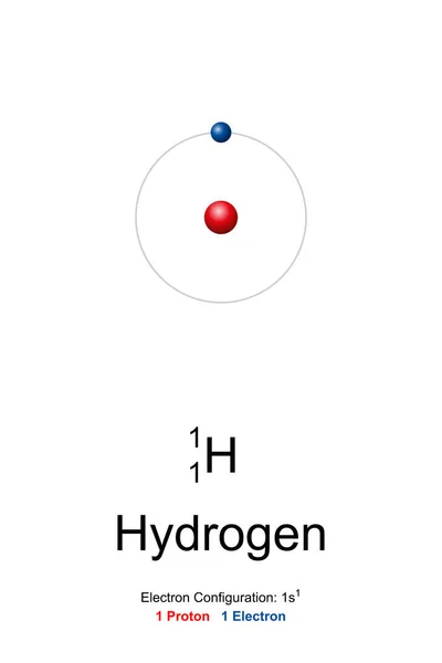 Hydrogen Atom Model Chemical Element Symbol Atomic Number Bohr Model — Vetor de Stock