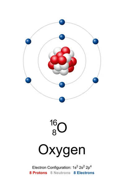 Oxygen Atom Model Chemical Element Symbol Atomic Number Bohr Model — Stockový vektor
