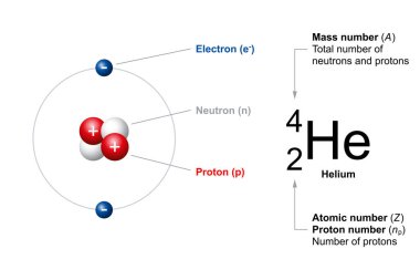 Helyumu örnek olarak kullanarak, atom numarası ve sıradan atomların kütle numarası. Atom numarası (Z) ayrıca proton (np) sayısıdır. Kütle numarası (A) nötron ve protonların toplam sayısıdır..