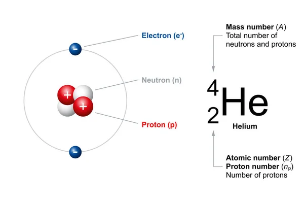 Атомне Число Масове Число Звичайних Атомів Використовуючи Приклад Гелій Атомне — стоковий вектор
