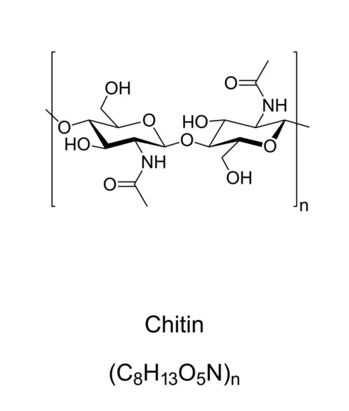 Chitin Chemical Formula Structure Long Chain Polymer Acetylglucosamine 2Nd Most — Archivo Imágenes Vectoriales