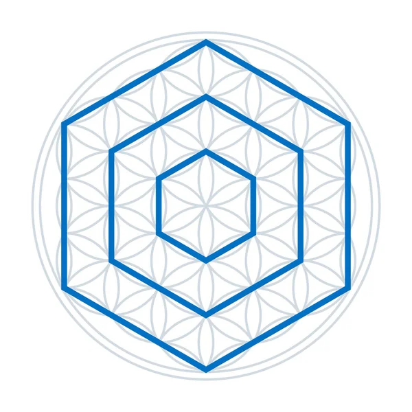 Three Hexagons Flower Life Blue Polygons Six Sides Each Tips — Stock vektor