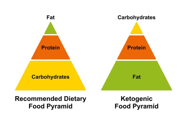 Recommended Dietary Food Pyramid Ketogenic Food Pyramid Simplified Chart Different — Vector de stock