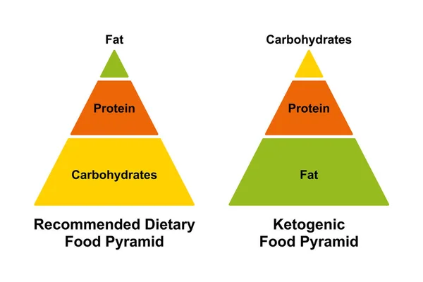 Recommended Dietary Food Pyramid Ketogenic Food Pyramid Simplified Chart Different — Stock Vector