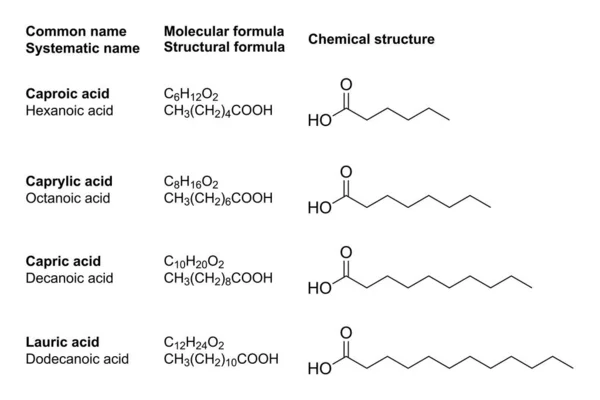 Medium Chain Fatty Acids Mcfas Chemical Structures Contained Medium Chain — Stock Vector