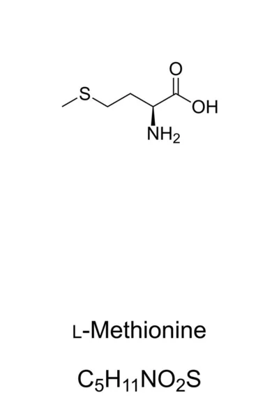 Methionine Chemical Formula Skeletal Structure Essential Amino Acid Humans Plays — Image vectorielle