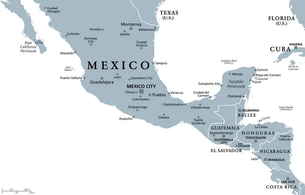 Mesoamérica Mapa Político Gris Región Histórica Área Cultural Sur América — Archivo Imágenes Vectoriales