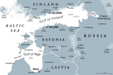 Finlandiya Körfezi ve Riga Körfezi bölgesi, gri politik harita. Kuzey ülkeleri Finlandiya, Estonya ve Letonya 'nın başkentleri ve Baltık Denizi' nden Saint Petersburg, Rusya 'ya olan deniz kıyıları.