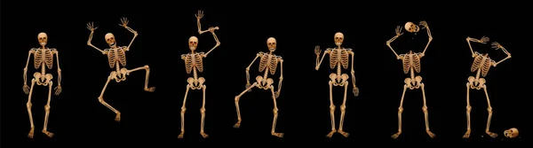 Esqueletos Poses Diferentes Caminar Saltar Asustar Saludar Saludar Hacer Malabares — Vector de stock