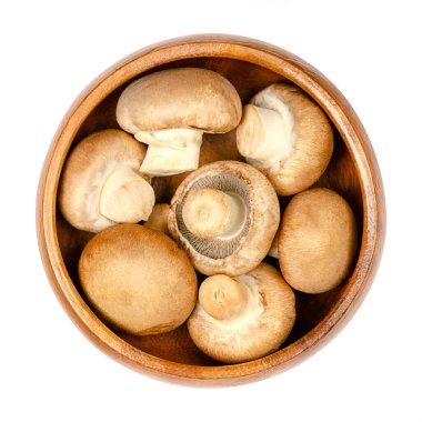 Kahverengi şampiyonlar, tahtadan bir kasede, yukarıdan izole edilmiş. Çiğ, taze mantar, Agaricus bisporus, İsviçre, Roma ya da İtalyan kahverengi mantarı, kremini ya da kestane mantarı ya da bebek Bella olarak da bilinir.!