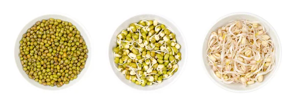 Mung Beans Dried Sprouted Mung Bean Sprouts White Bowls Isolated — Stock Photo, Image
