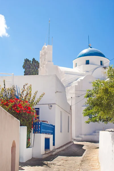 Callejón griego tradicional en la isla de Sifnos, Grecia —  Fotos de Stock