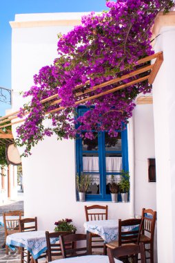 Yunanistan 'ın Sifnos adasındaki geleneksel Yunan sokağı