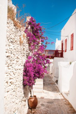 Yunanistan 'ın Sifnos adasındaki geleneksel Yunan sokağı