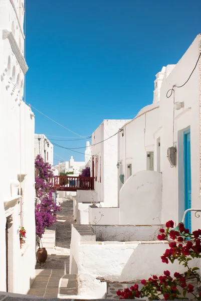 Yunanistan 'ın Sifnos adasındaki geleneksel Yunan sokağı — Stok fotoğraf