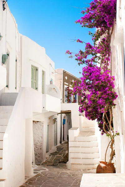 Traditional greek alley on Sifnos island, Greece — Stock Photo, Image