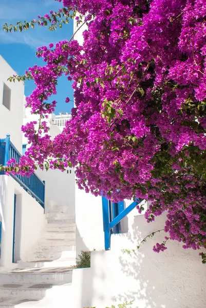 Tradiční řecká ulička na ostrově Sifnos, Řecko — Stock fotografie