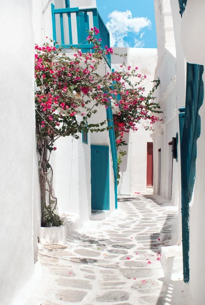 Callejón griego tradicional en la isla de Mykonos, Grecia — Foto de Stock