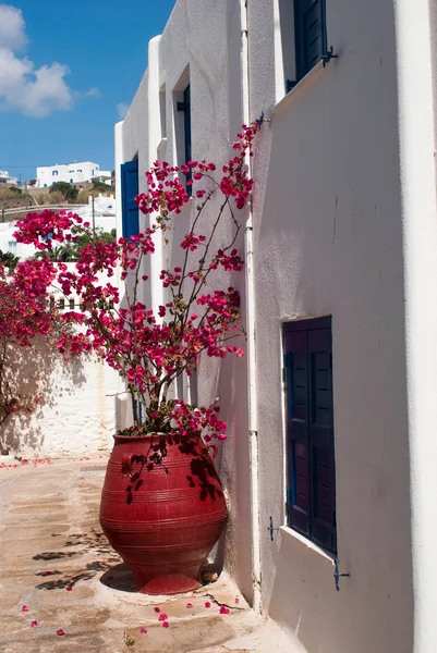 シフノス島、ギリシャの伝統的なギリシャ語の家 — ストック写真