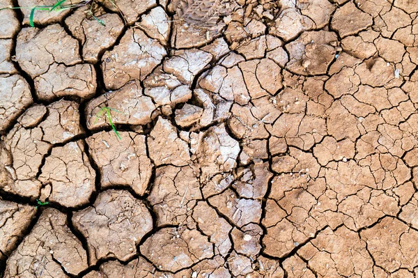 Dry cracked earth background, clay desert texture — Stock Photo, Image